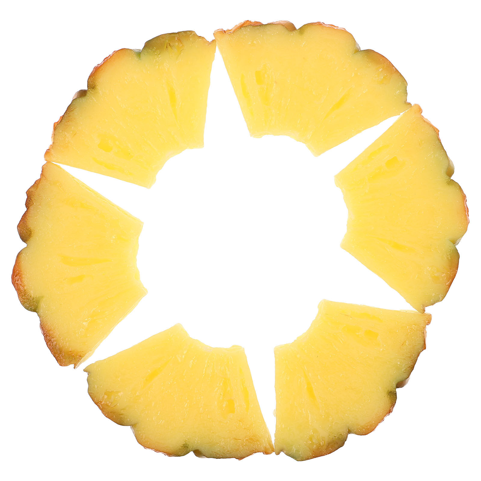 6 pezzi di fette di ananas art - Photography Food recensione e prezzo